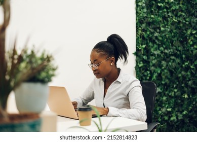 Concentrated Young Black Business Woman Working On A Laptop While Sitting At The Table In The Office. Confident Business Expert. E-commerce, Internet Technology Or Small Business Concept.