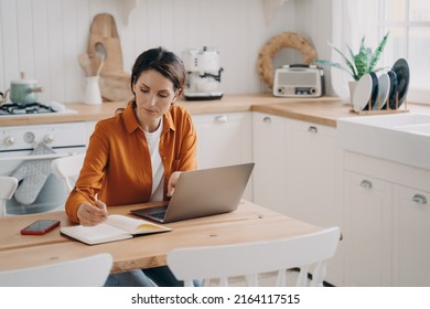 Concentrated Young Spanish Woman Entrepreneur Remote Stock Photo ...