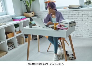 Concentrated Young Woman With Purple Hair Working On Laptop While Sitting At Her Working Place