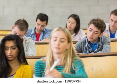 Konzentrierte Studierende im Vorlesungssaal
