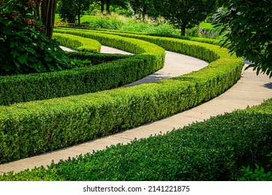 Concentric Circles Of Paved Walkway Separated With Hedges And Edged With Lush Greenery In Park