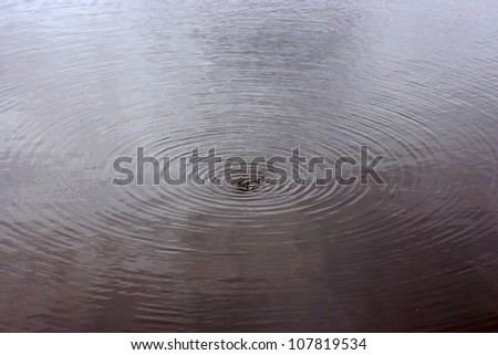 Similar – fog lake Calm Nature Water