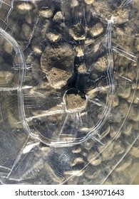 Concentric Lines Around A Rock Protruding From A Frozen Puddle. All Gone 2 Hours Later. Whitehorse, March 24, 2019.