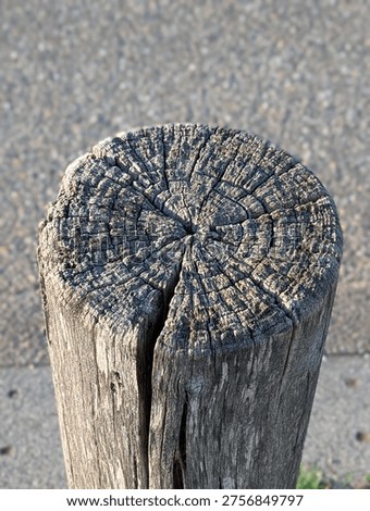 Concentric Ring Pattern On Post Top Closeup, Pronounced Radial Cracks And Textured Grain, Highdetail Macro Study Of Growth Rings, Natural Abstract Pattern With Subtle Shadowing And Material Depth