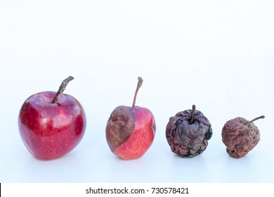 Concept Of Aging, Death, Rebirth. Different Stages Of Life.  Age Disease Influence. Apple Transformation As A Concept Of Body Life Human Transformation. Metaphor Of Withering Life.