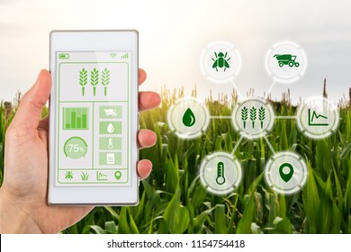 Concept for agritech industry showing farmer with smartphone app and graphic display with agricultural smart farm icons on a bakcground of a field of crops.