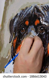 Concept Of Art, Creativity And Inspiration - Man's Hand With Brush Paints Picture. Man Paints Portrait Of Rottweiler On Canvas. Close-up, Selective Focus.