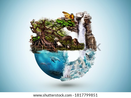 Concept art of Earth and animal life in different environments. Excellent for themes: Earth, Nature, Preservation of wild life and many more.