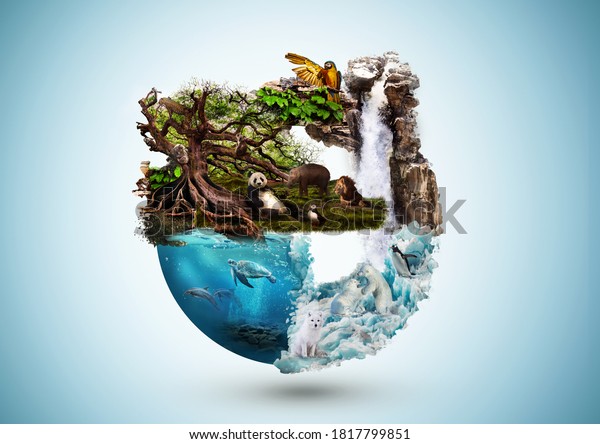 Concept art of Earth and animal life in different\
environments. Excellent for themes: Earth, Nature, Preservation of\
wild life and many\
more.