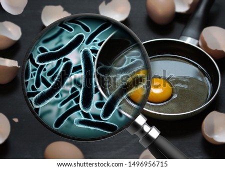 The concept of bacteria in the egg and is magnified by a magnifying glass salmonellosis infection