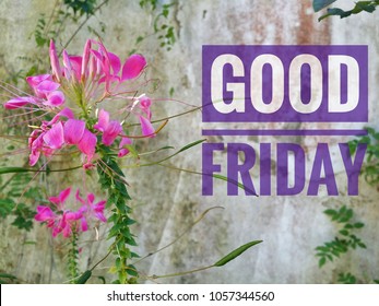 Concept of beautiful pink flower on old concert wall background with word GOOD FRIDAY