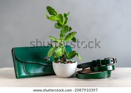 Concept of cactus leather, sustainable leather alternative made from Opuntia Cactus plant. Green eco-leather woman bag or wallet and a cactus in a flower pot. Innovative vegan leather, save the planet