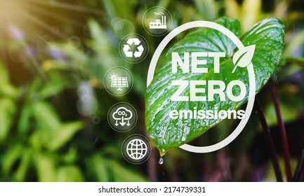 concept of carbon neutral and net zero emissions. natural environment A climate-neutral long-term strategy greenhouse gas emissions targets with green net center icon on leaf and green background.     - Shutterstock ID 2174739331