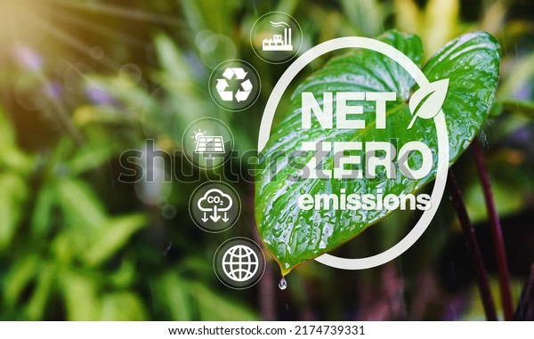 concept of carbon neutral and net zero emissions.\
natural environment A climate-neutral long-term strategy greenhouse\
gas emissions targets with green net center icon on leaf and green\
background.    