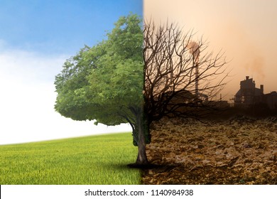 The concept of climate has changed. Half alive and half dead tree standing at the crossroads. The concept of world love and clean energy