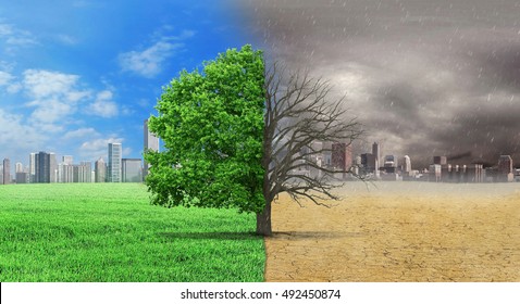 The concept of climate has changed. Half alive and half dead tree standing at the crossroads of climate change on city background. Save the environment.