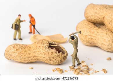 The concept of a collective solution to any problem. Miniature toy workers crash the raw peanut. Close-up view. - Powered by Shutterstock