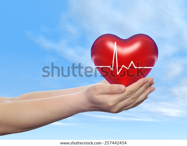 Concept conceptual 3D red human heart sign or symbol held in human man or woman hand, blue sky background, metaphor to health, care, medicine, protect, life, medical, pulse, healthcare cardiology. Mural wallpaper. 