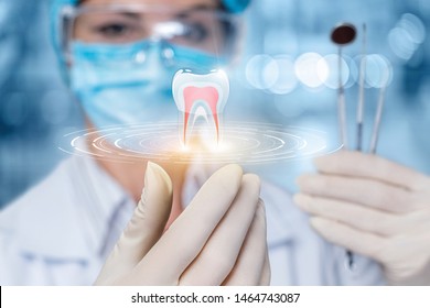 The concept of dental treatment. The doctor looks at the model of the tooth.