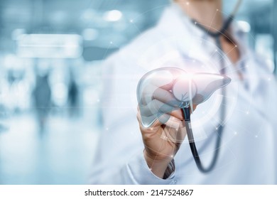 The concept of diagnosis and treatment of human liver. - Shutterstock ID 2147524867