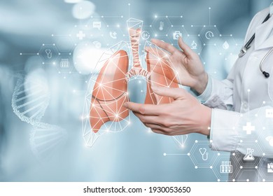 Das Konzept der Diagnose, Behandlung und Unterstützung der Lunge.