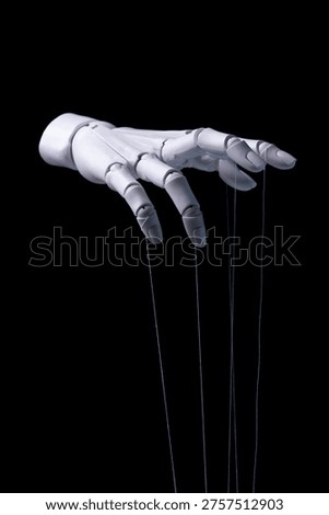 Concept of Digital Manipulation and Control by Robotic Puppet Master