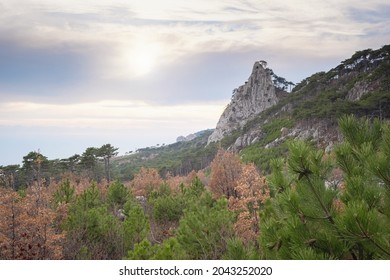 the concept of discovery and hiking, nature and freedom. Green pine mountain forest in scenic mountains. scenic Shaan-kai mountain in the background - Shutterstock ID 2043252020