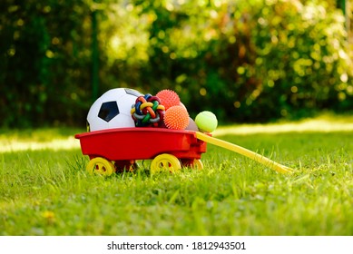 Concept of dogs life enrichment with cart full of pet and sport balls and toys