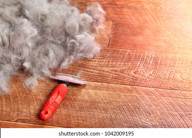 Concept Dogs Shed spring shedding grooming season. De shedding tool - rakers brush for Dog. Slicker brushes on floor next to a pile of wool. Copy space.