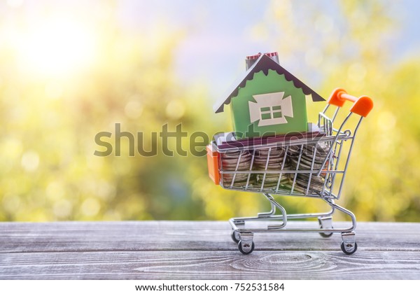 Concept eco house in a shopping cart on a\
background of greenery. Idea: buying a house, renting out, selling\
real estate. Mortgage. Loan for\
housing.