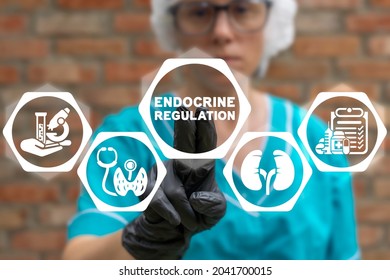 Concept Of Endocrine Regulation. Endocrinology Health Science Innovation.