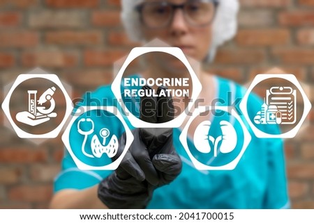 Concept of endocrine regulation. Endocrinology Health Science Innovation.