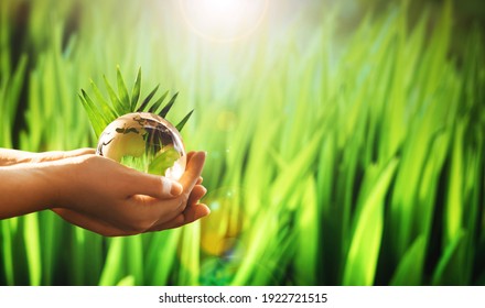 Concept of the Environment World Earth Day Banner. Hands  holding glass green planet on sunny background. Save Nature.
