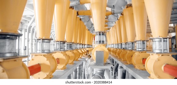 Concept Equipment Factory Grain. Electrical mill machinery for production of semolina, wheat flour, bran flakes.