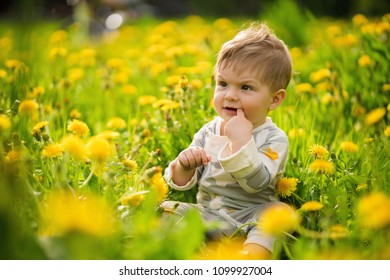 Concept: family values. Portrait of adorable innocent funny brown-eyed baby playing outdoor in the sunny dandelions field.