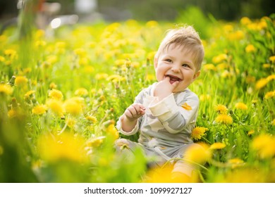 Concept: family values. Portrait of adorable innocent brown-eyed baby play outdoor in the sunny dandelions field and making funny faces.