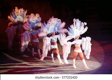 Concept. Girls In Costume At The Carnival In Rio. Actors Perform In The Circus.