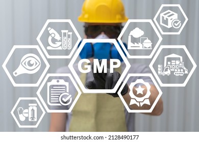 Concept of GMP Good Manufacturing Practice. Industrial Practices Quality Assurance Education. Trainee using virtual touchscreen touches GMP abbreviation.