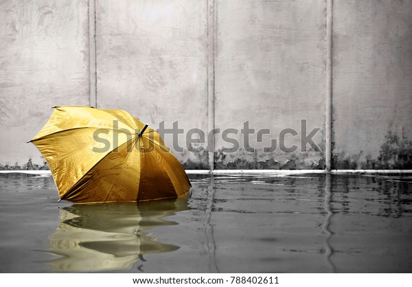 gold umbrella photography