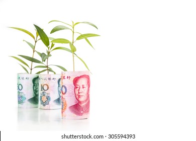 Concept Of Green Plant Grow On China Yuan Renminbi Currency Note.