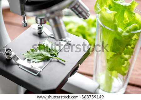 concept healthy food inspection herbs in laboratory