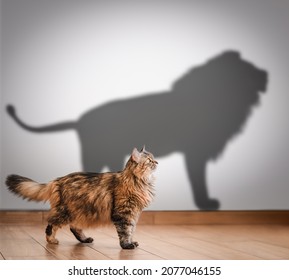 Concept Of Hidden Potential, Cat And Lion Shadow.