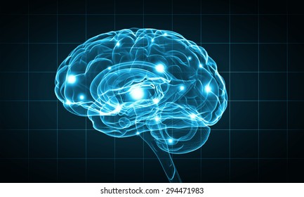 Concept of human intelligence with human brain on blue background - Shutterstock ID 294471983