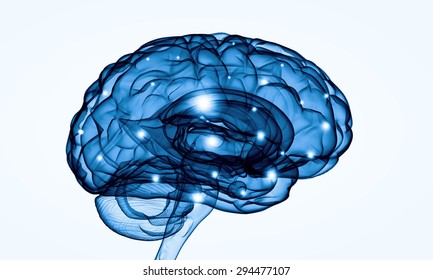 Concept of human intelligence with human brain on white background