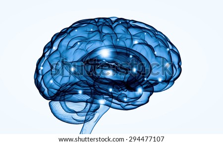 Concept of human intelligence with human brain on white background