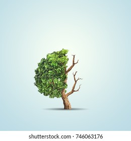 The concept image of ecology. Half alive and half dead tree. Environment concept