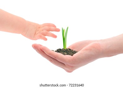 Concept Image Of A Older Hand Handing Sprout To The Younger Next Generation.