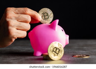 Concept Image For Using Digital Crypto Currency For Savings. A Caucasian Woman Is Putting A Symbolic Bitcoin (BTC) Coin Into A Piggy Bank As A Saving Modality. Isolated Image Against Dark Background