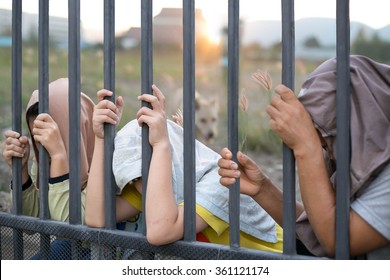 Concept Immigrant Crisis , Refugee Peoples Hand Holding Metal Bar On Refugee Camp Site