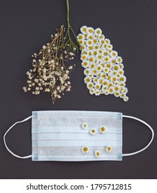 Concept Of  Importance Of Using Masks During  Global Epidemic Of Covid - 19. Human Organ - Lungs - Lined With Chamomile Flowers On Gray Background. One Half Is Healthy,  Other Is Damaged By Virus